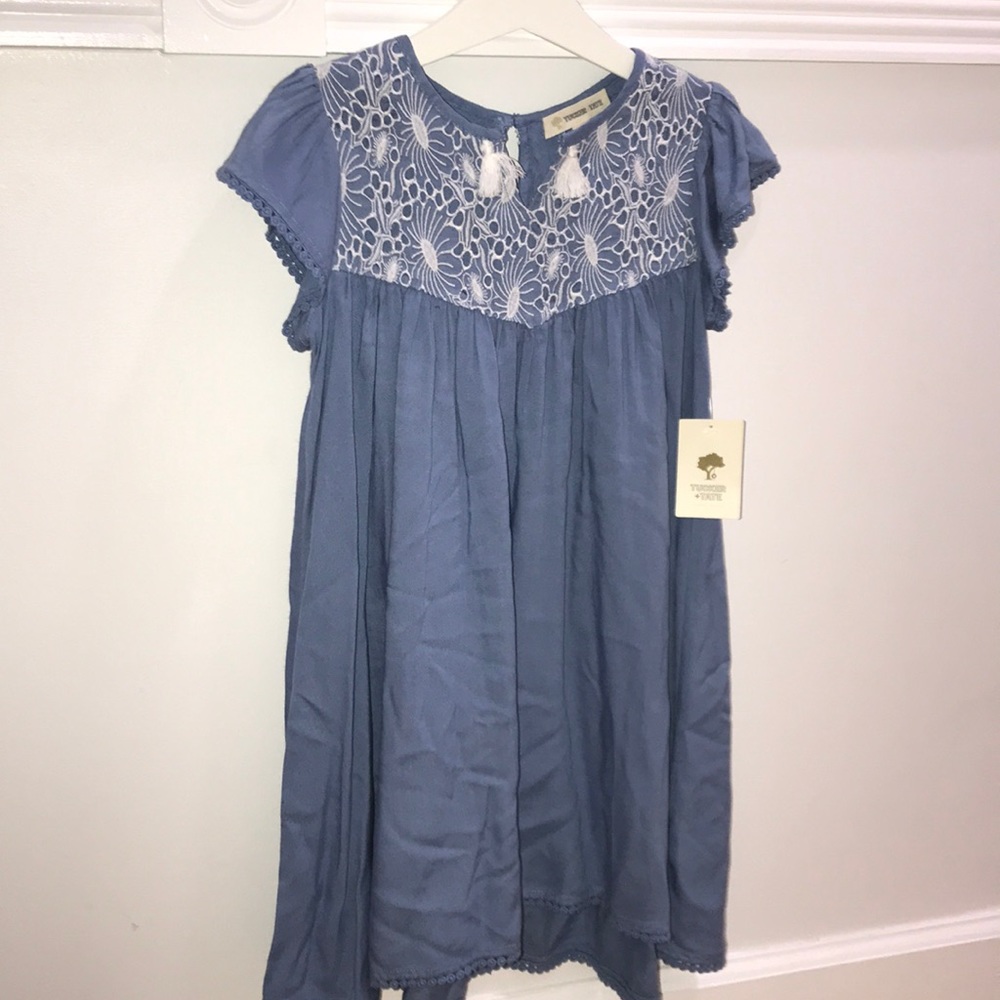 Tucker and Tate blue dress